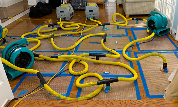 Professional Basement Flood Cleanup technician working in Carlisle, PA